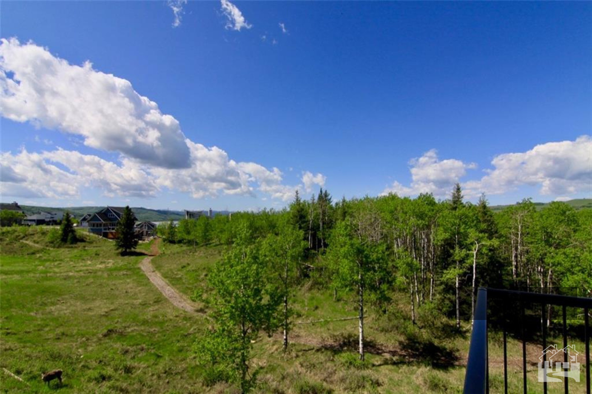 Walking Trails